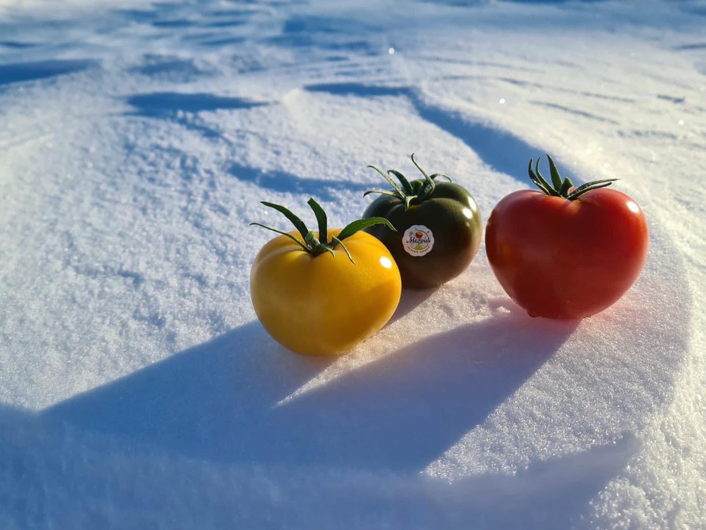 Veidos ziemas siltumnīcu kompleksu