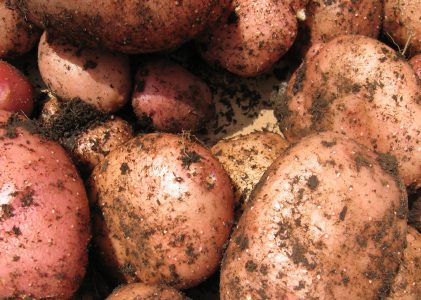 Aizvadīts sarežģīts gads