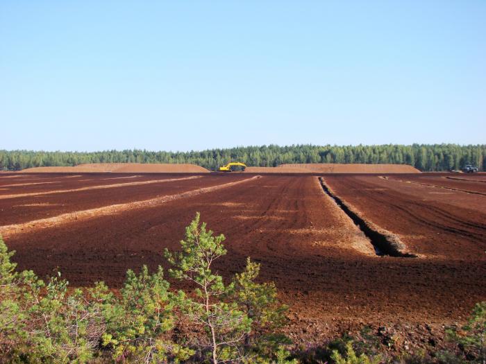 “Florabalt” aug par trešdaļu