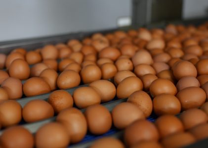 Sasniedz vēsturiski labāko rezultātu