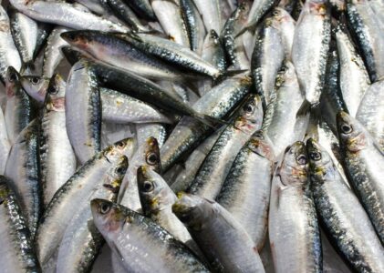 Ieguldītās investīcijas dod atdevi