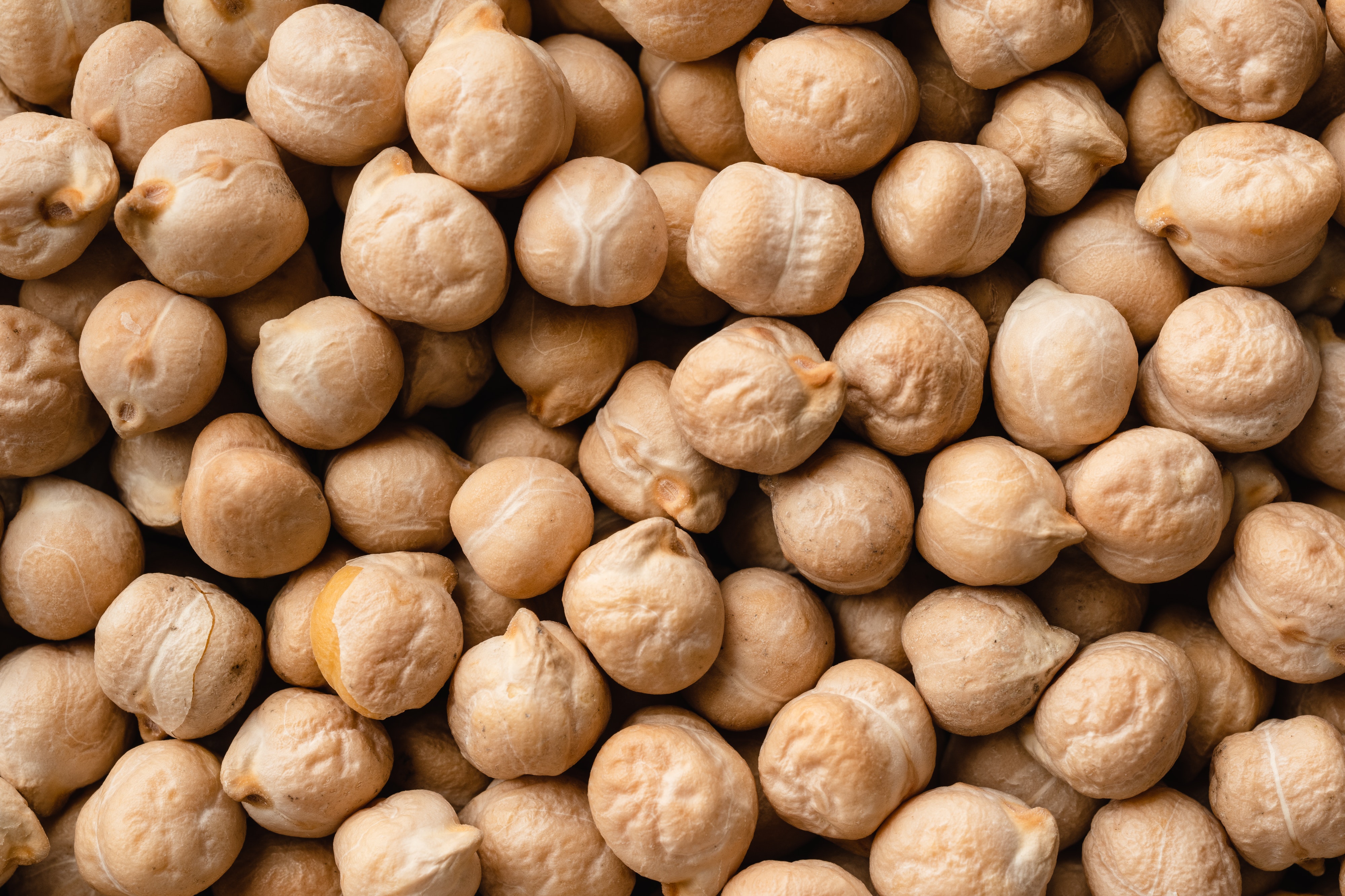 “Aloja-Starkelsen” attīsta pākšaugu produktus