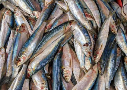 Zivrūpnieks palielina apgrozījumu