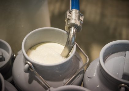 Kooperatīvs nopērk bankrotējušo ražotni