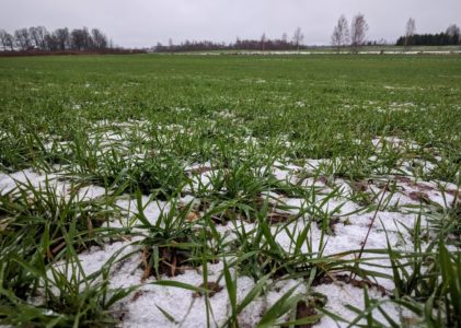 LDF ir iebildumi pret stratēģiskā plāna projektu
