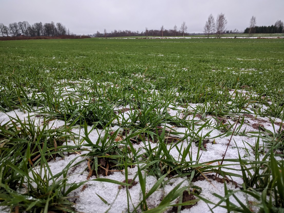LDF ir iebildumi pret stratēģiskā plāna projektu